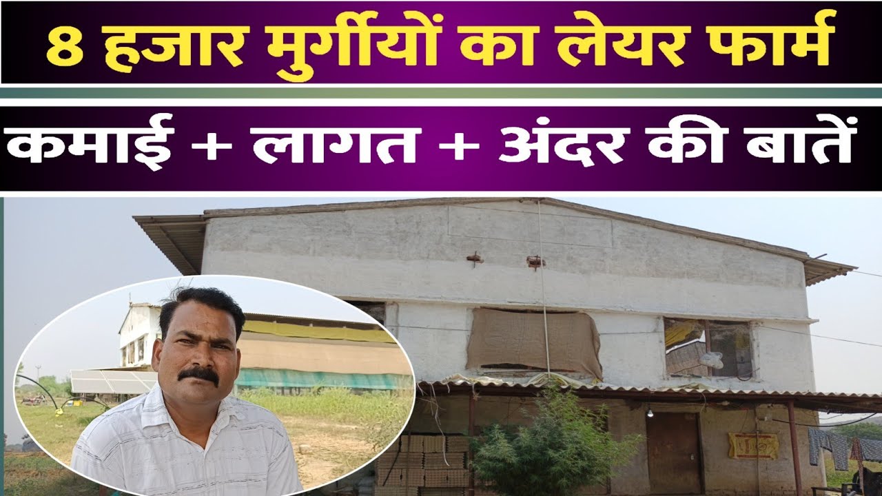 8 हजार मुर्गीयो का लेयर फार्म | Layer Poultry Farming Business