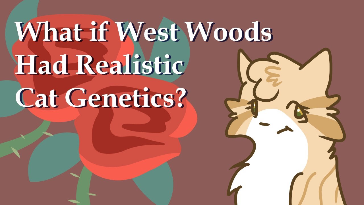 What if West Woods Had Realistic Cat Genetics?