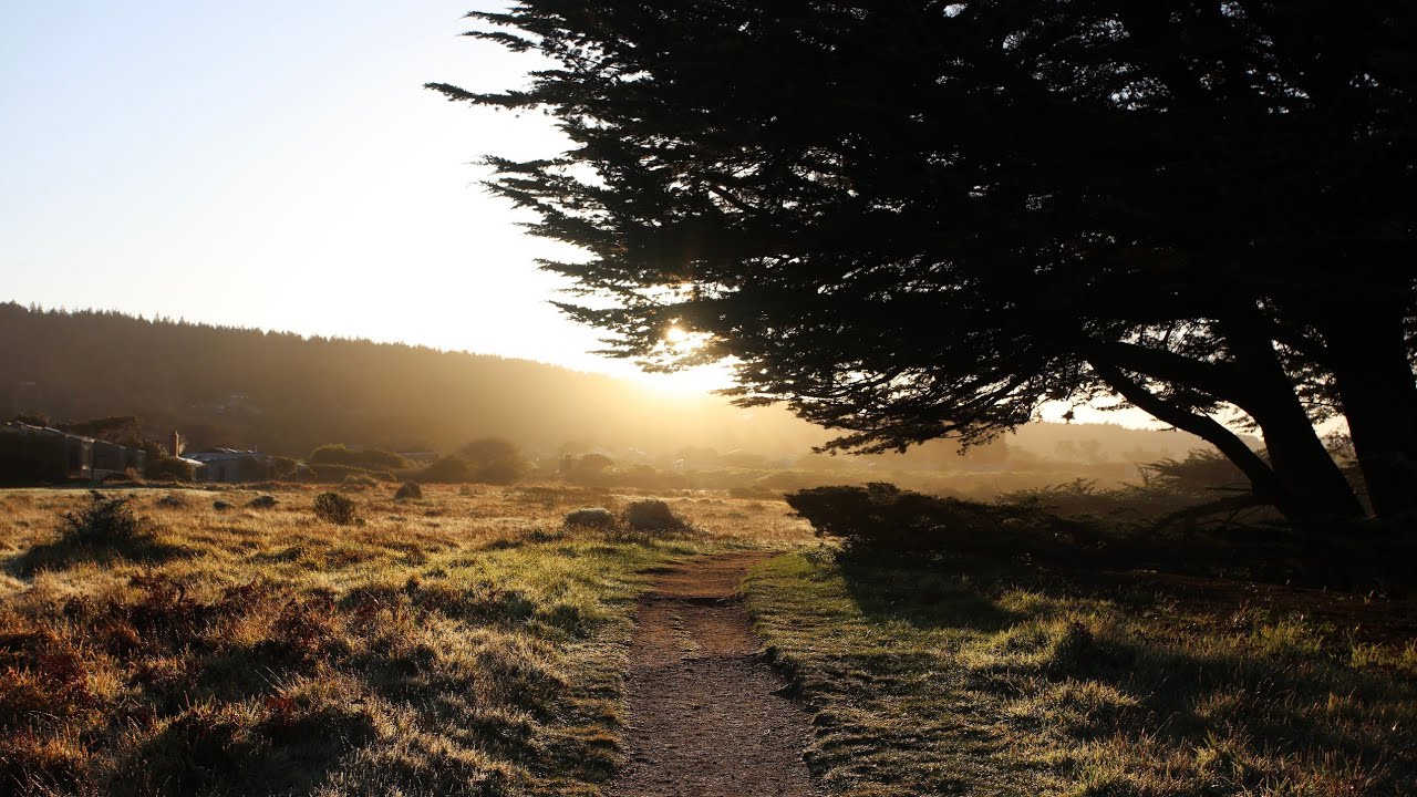 Sea Ranch 2022 Part 5. Morning Beaches and Heading Home