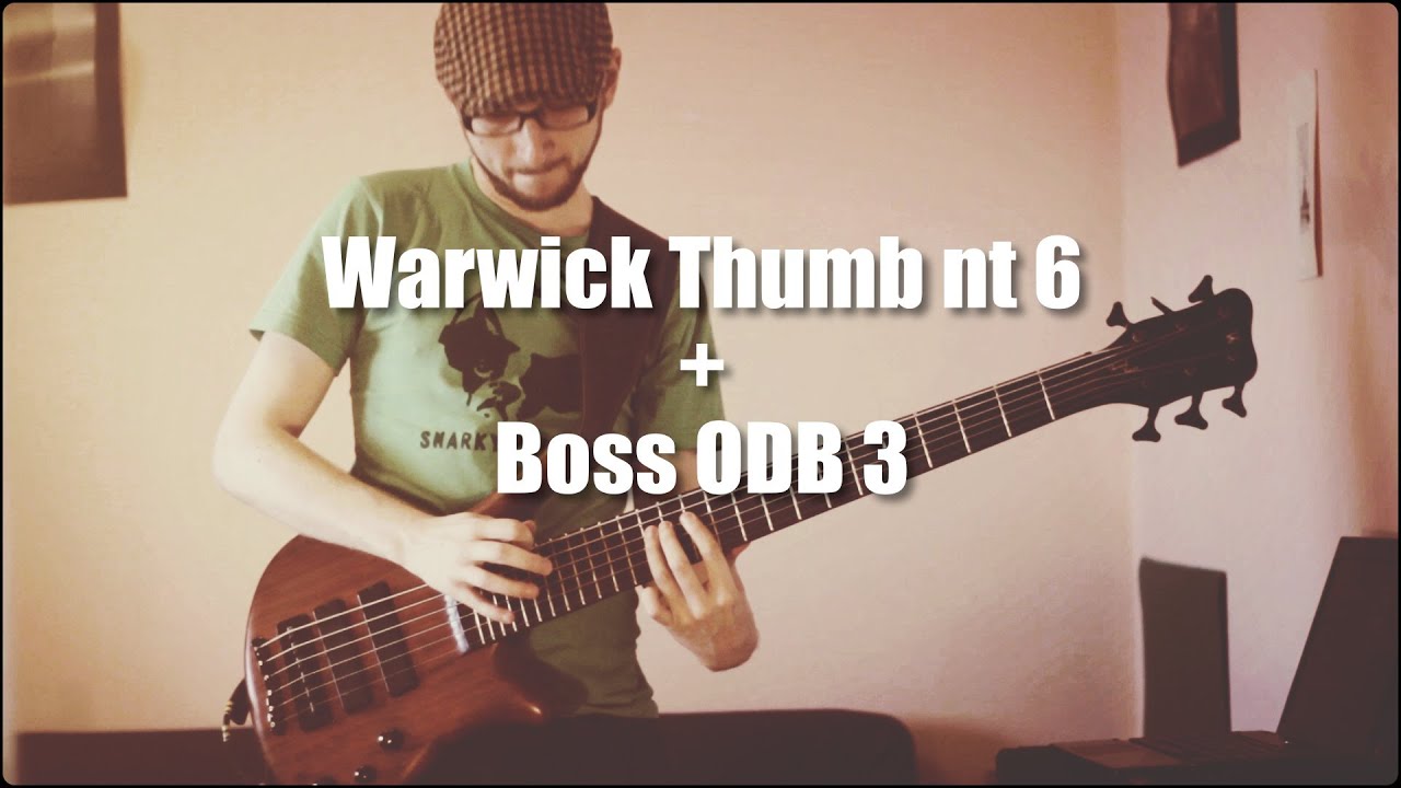 Warwick Thumb NT 6 string bass + Boss ODB 3 bass overdrive
