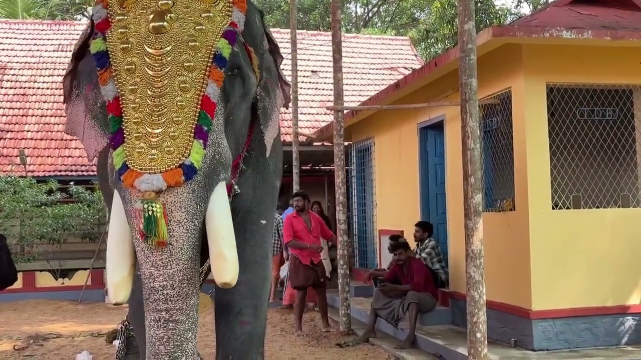 ഉണ്ണിപള്ളി ഗണേശൻ 🔥❤️ദേവസേനാപതിയുടെ മണ്ണിൽ അർപ്പൂക്കര (കോട്ടയം ) 