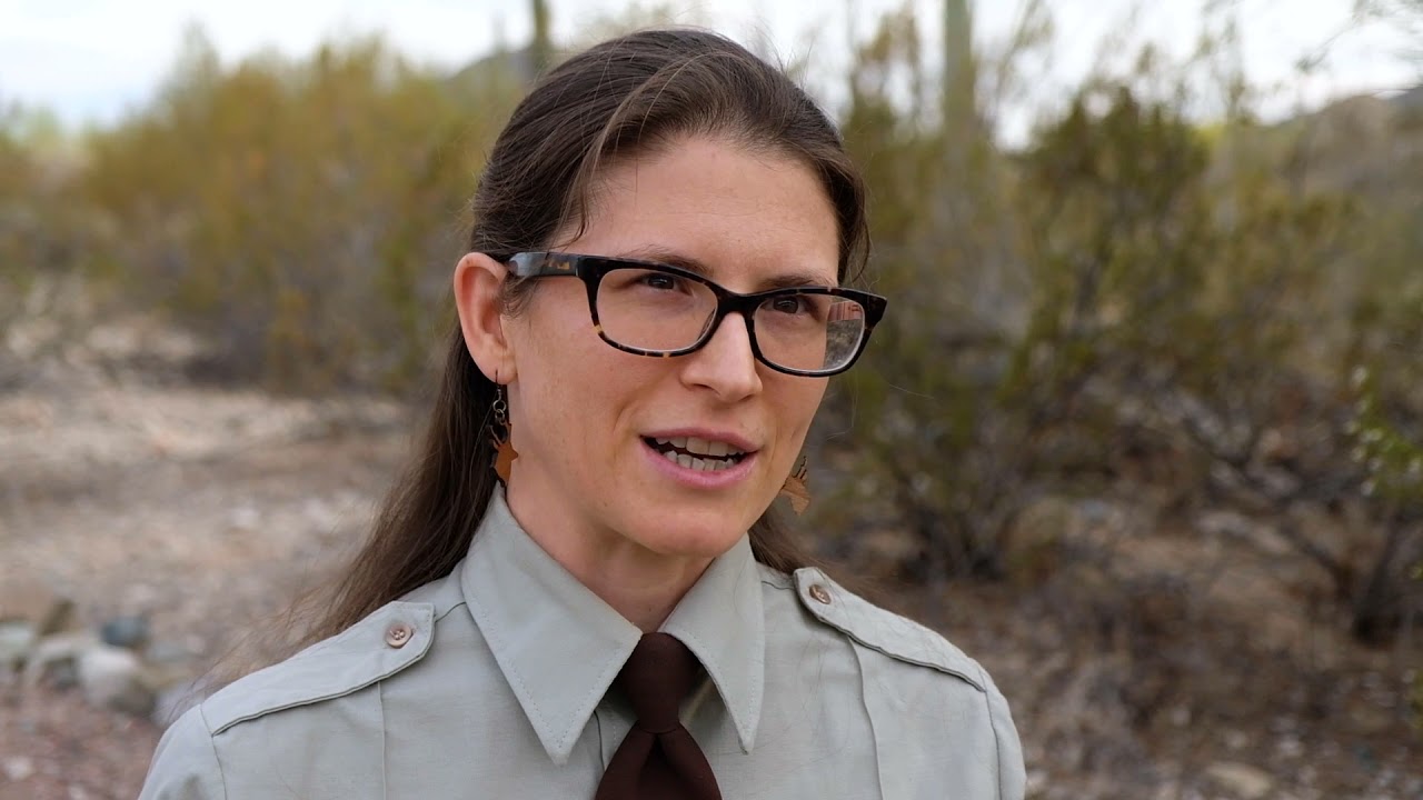 Cabeza Prieta NWR: Saving the Sonoran Pronghorn