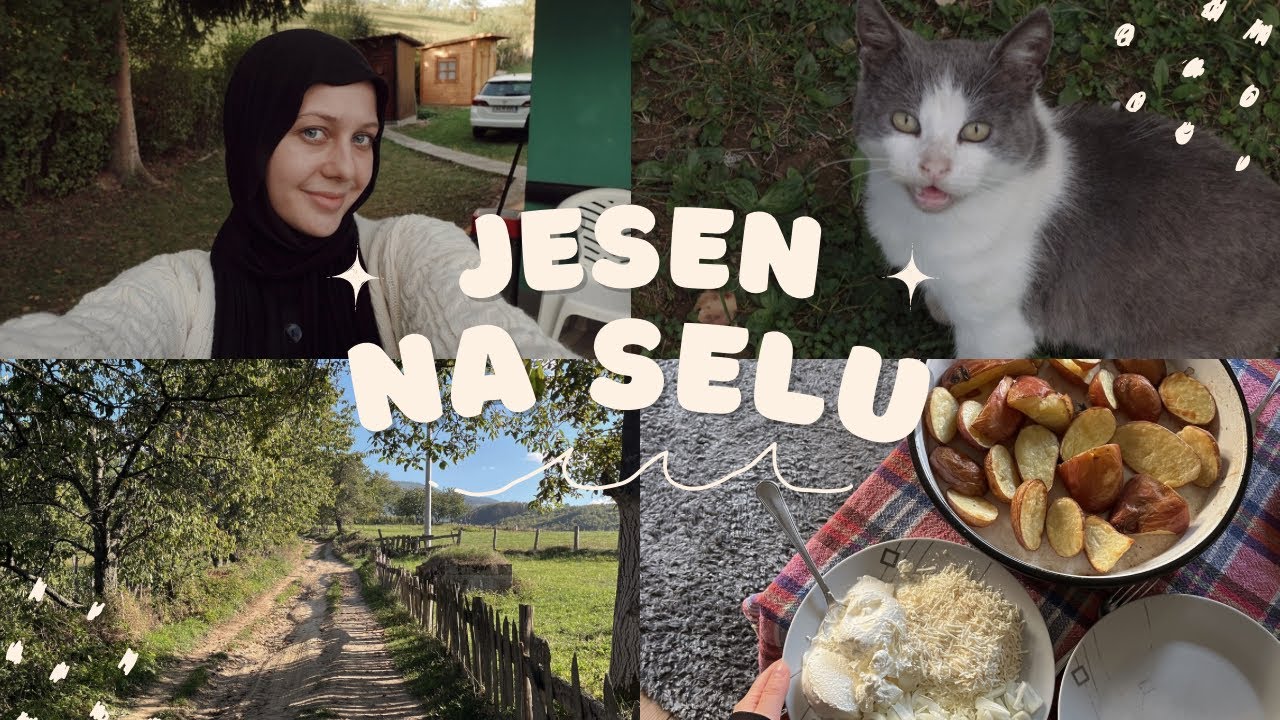 VLOG: Vraćaam se snimanju, završila sam edukaciju, produženi vikend i avanture sa Sanom 🍂☕️