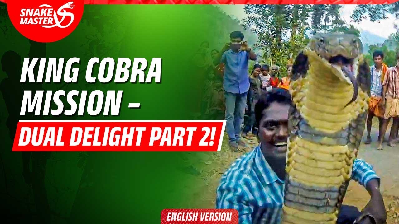 EP 43 | 102nd King Cobra Rescue | Vava Suresh & Snake Master Team | Attathodu Rescue Mission