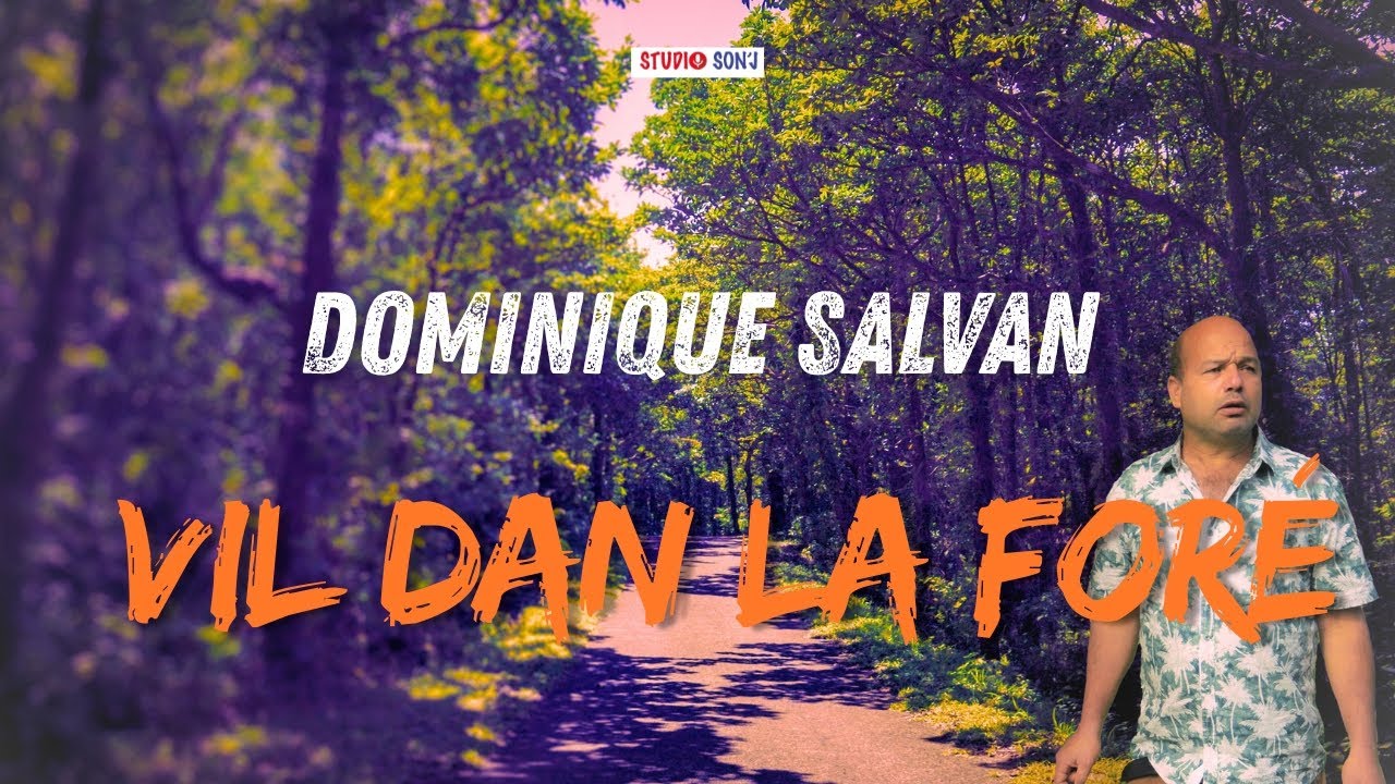Dominique Salvan - Vil dan la foré