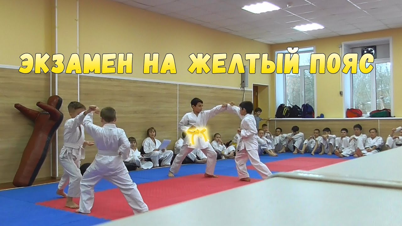Экзамен на желтый пояс
