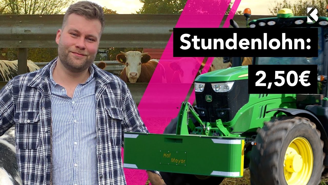 Ein Tag Landwirt: Leben mit Bullen, Traktoren und Geldnot?