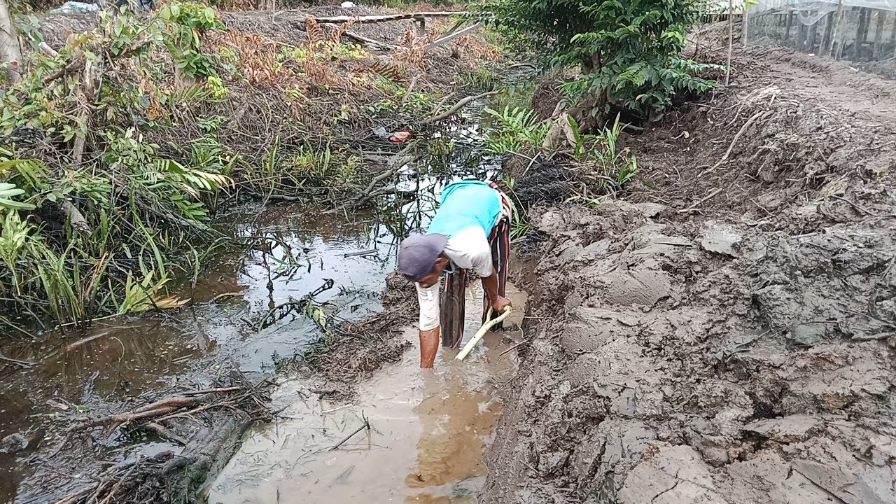 KESIBUKAN PAK WANI PERBAIKI TANGGUL DEPAN KOLAM