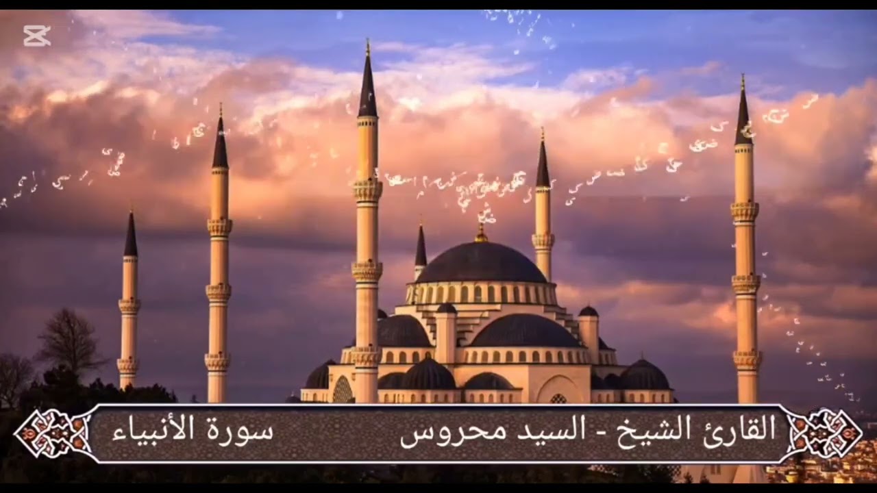 سورة الأنبياء الشيخ السيد محروس 
