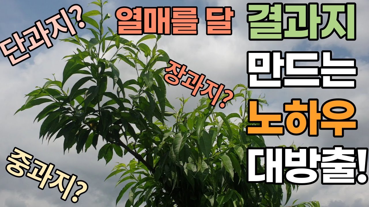 열매를 달 결과지 만드는 노하우 대방출!