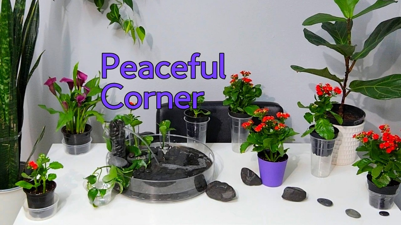 Ep20) Relaxing Cozy Indoor Plant Corner | Peaceful Home Ambiance With Water Fountain