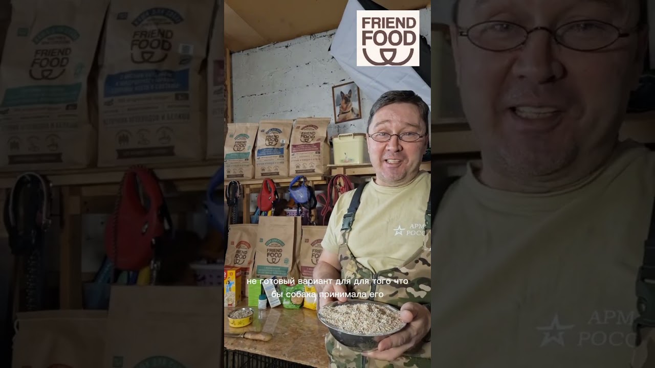 Чем лучше кормить собаку?! Ч1  #FRIENDFOOD #яимойхвост #немецкаяовчарка 