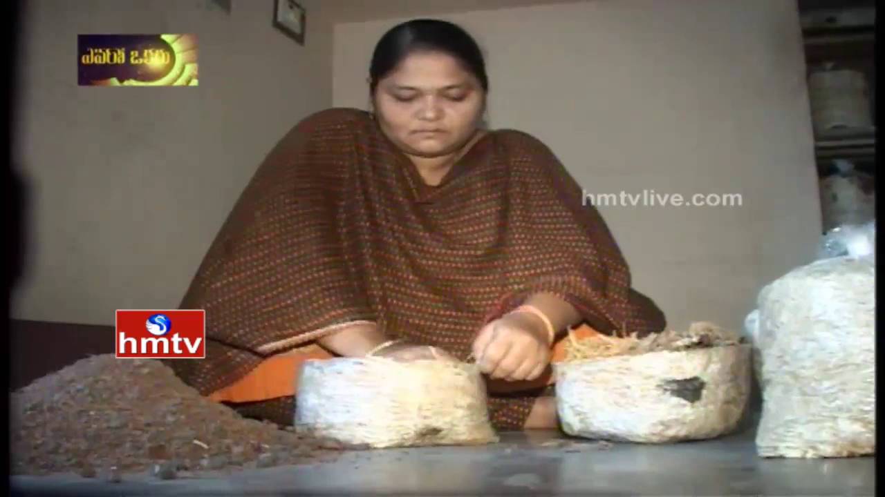 Inspirational Women Sri Lakshmi |Mushroom Farming | Avani - Evaro Okaru | HMTV