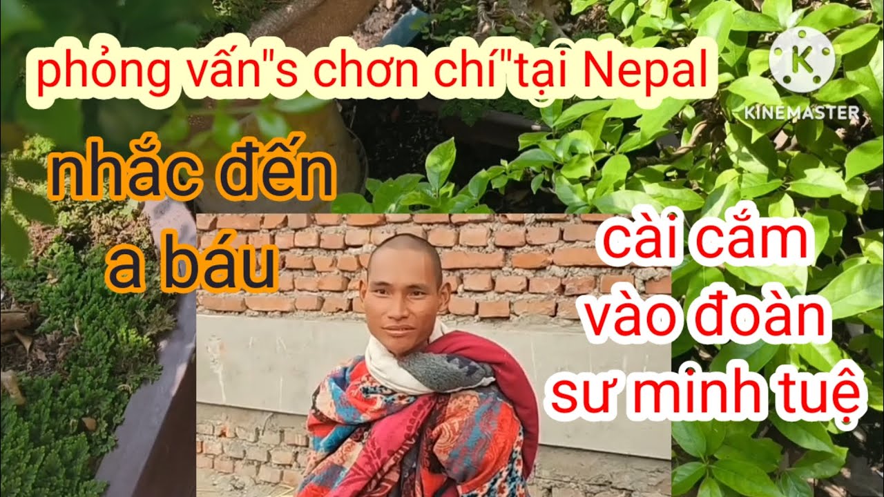 Phỏng vấn 