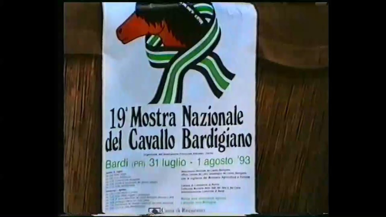 XIX Mostra Nazionale del Cavallo Bardigiano, 31 luglio - 1 agosto 1993