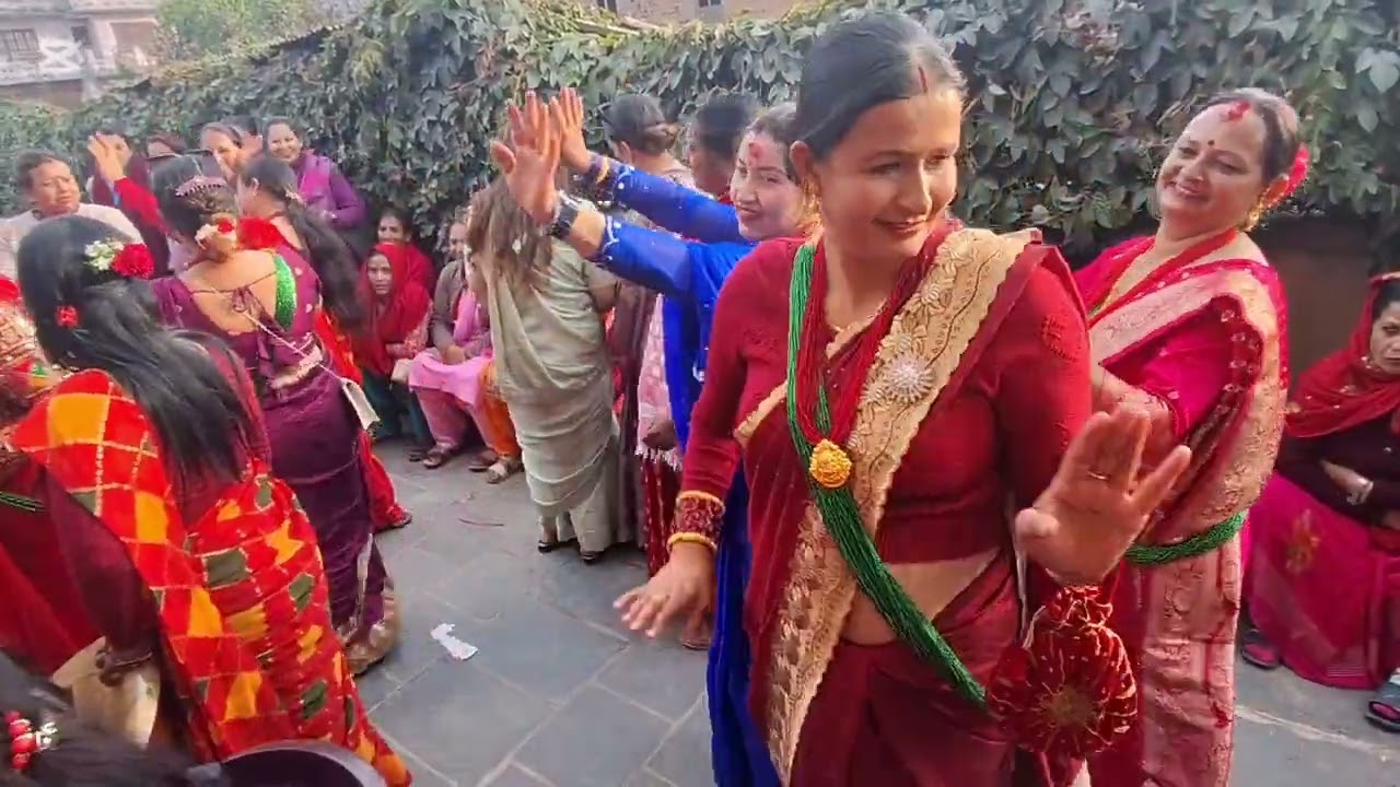 बनको काडा नभैदेउ टाढा तिम्लाई घाटा हुदैन म बाट ।हैन कति राम्रो नृत्य हो थली बस्नेत गाउँ रत्यौली #fyp