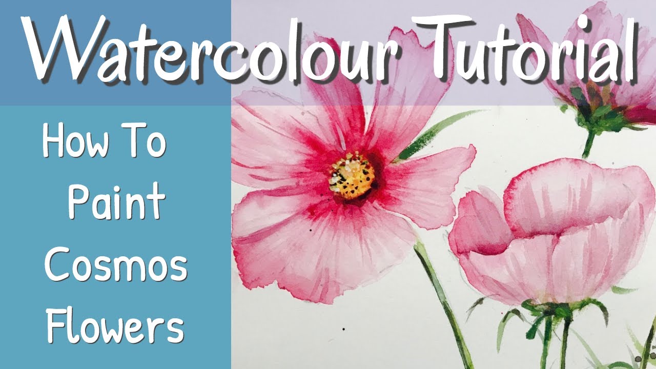 How To Paint Cosmos Flowers In Watercolour Using Just 3 Colours!