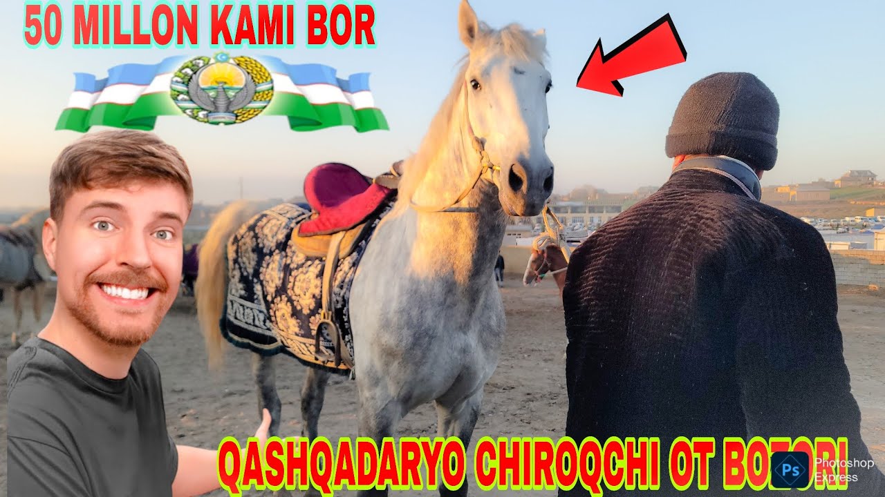 11.03.2026 YIL QASHQADARYO CHIROQCHI BOZORI OT BOZORIDAN OTLARNI NARXILARI