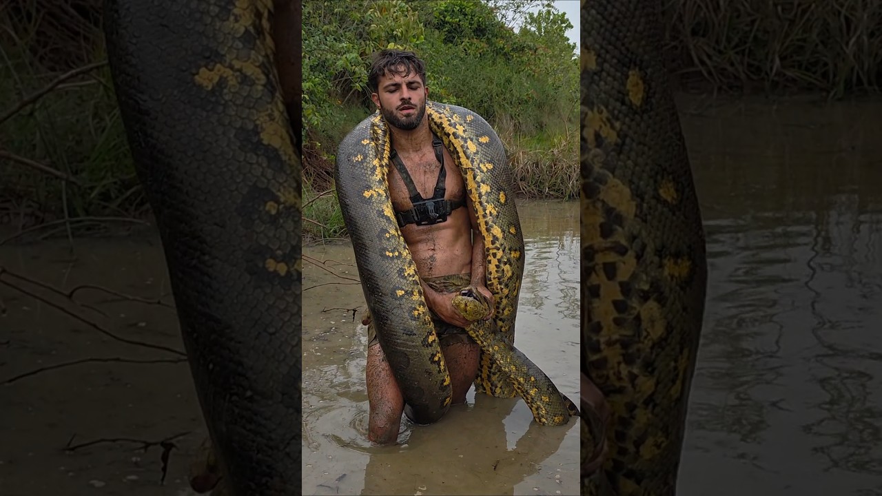 Day 47 Searching for the 10M Anaconda! 🐍