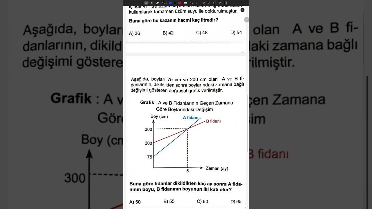16 Şubat 2026