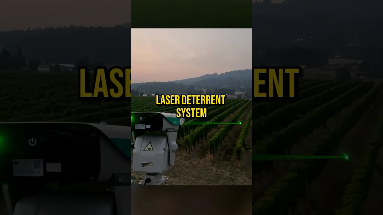 Bird Laser Turret (@centuryvineyards) #laser #science #farming #Tech #Technology