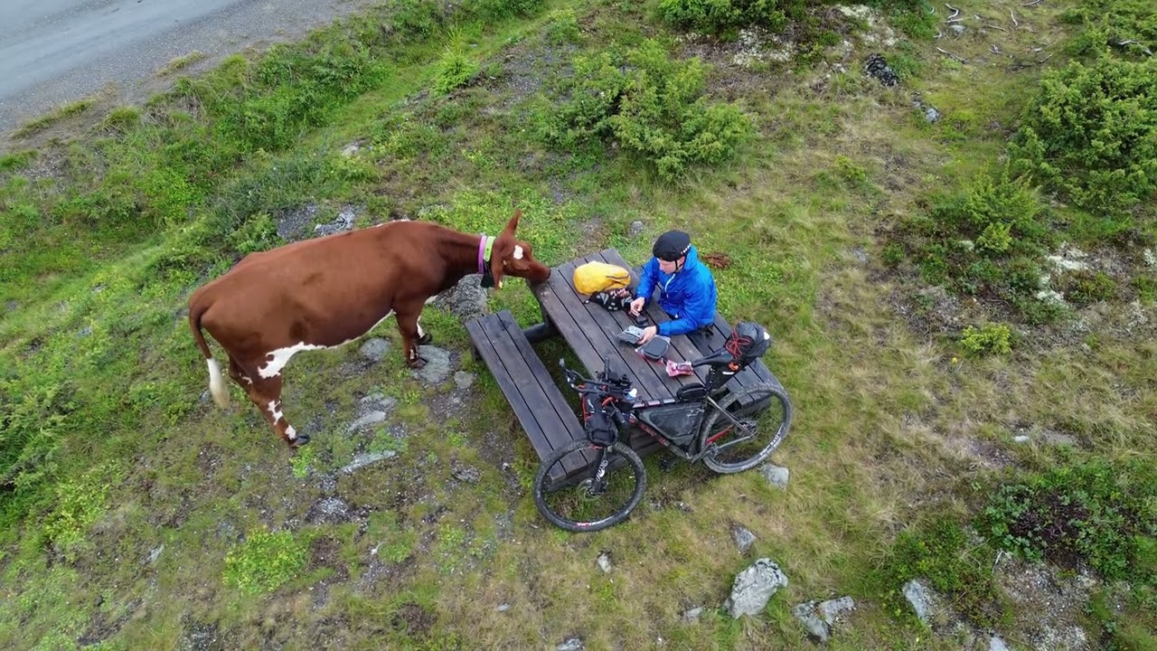 Bikepacking Adventure: Oslo to Nordkapp, Norway 🚴‍♂ | Exploring Scandinavia's Wilderness | Part 1