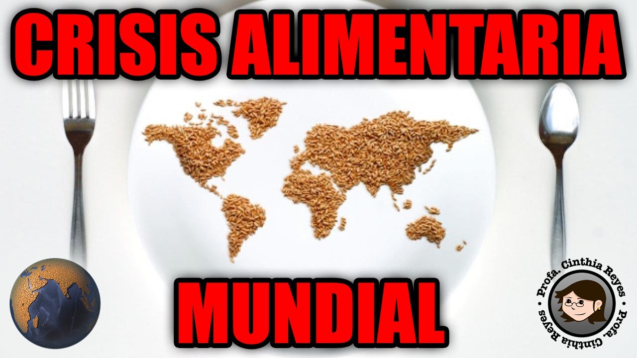 Crisis alimentaria - desperdicio de comida