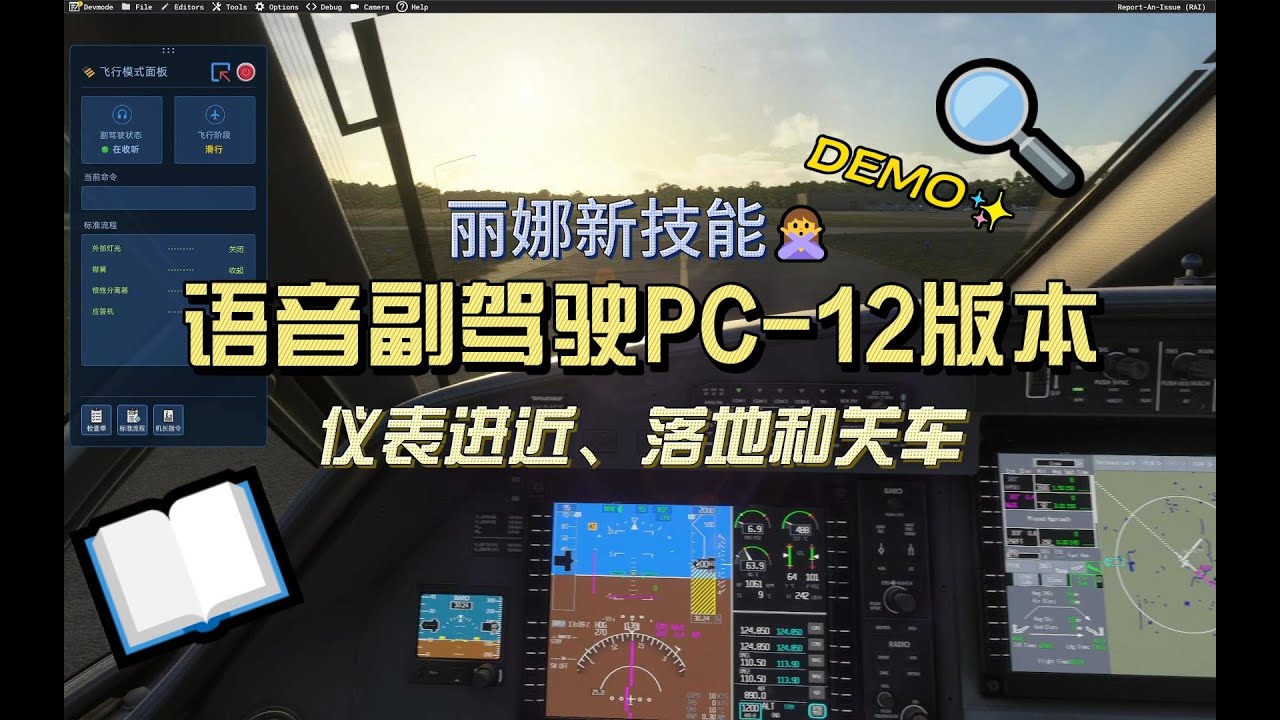 语音副驾驶PC 12版本仪表进近与落地