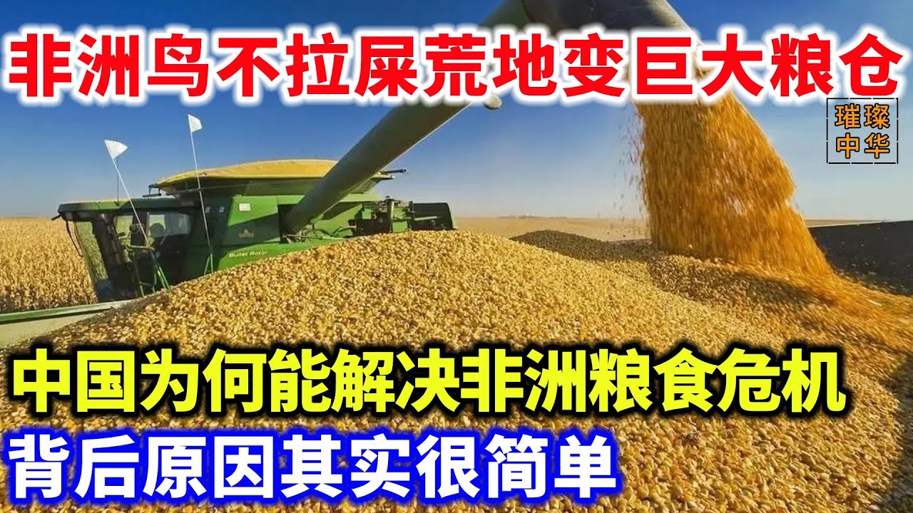 非洲荒地变巨大粮仓！中国为何能解决非洲粮食危机？背后原因很简单！#沙漠 #粮食 #非洲