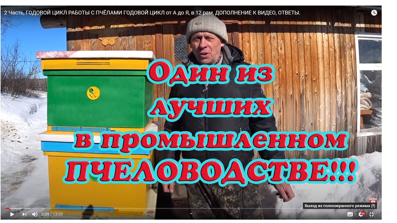 2 Часть, ГОДОВОЙ ЦИКЛ РАБОТЫ С ПЧЁЛАМИ от А до Я, в 12 рамочном улье, ДОПОЛНЕНИЕ К ВИДЕО, ОТВЕТЫ.
