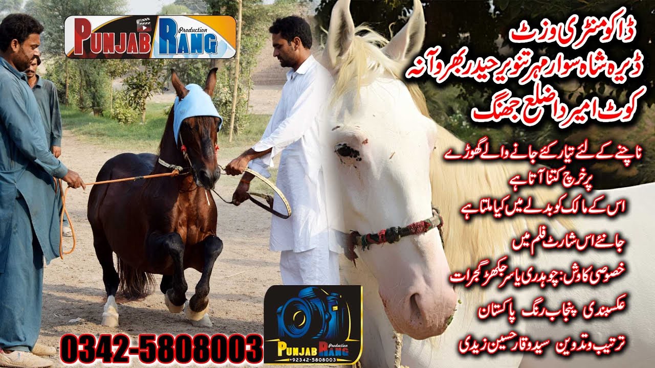 Pakistan Best Horse Training Center l Horse l Dancing Horse  l Dance Horse Farming in Pakistan