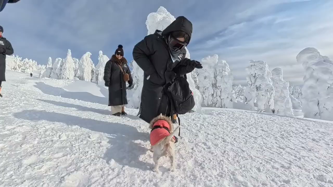 ​The Girl from the Snow (May-chan’s Winter Tale)