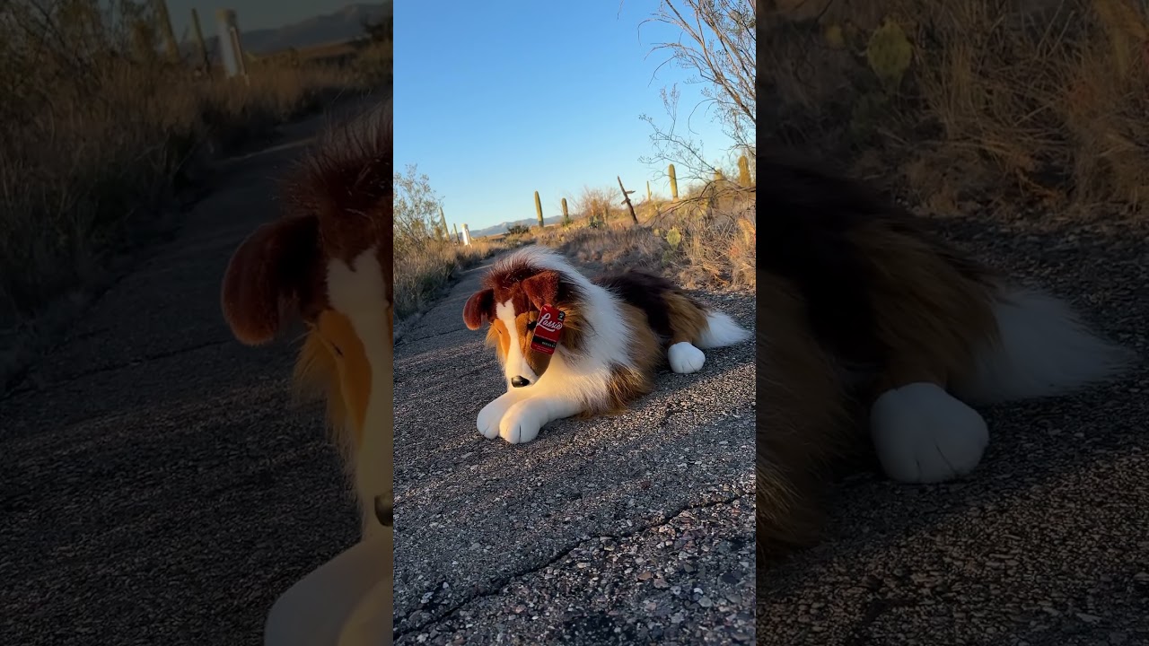 Douglas Cuddle Toys Lassie