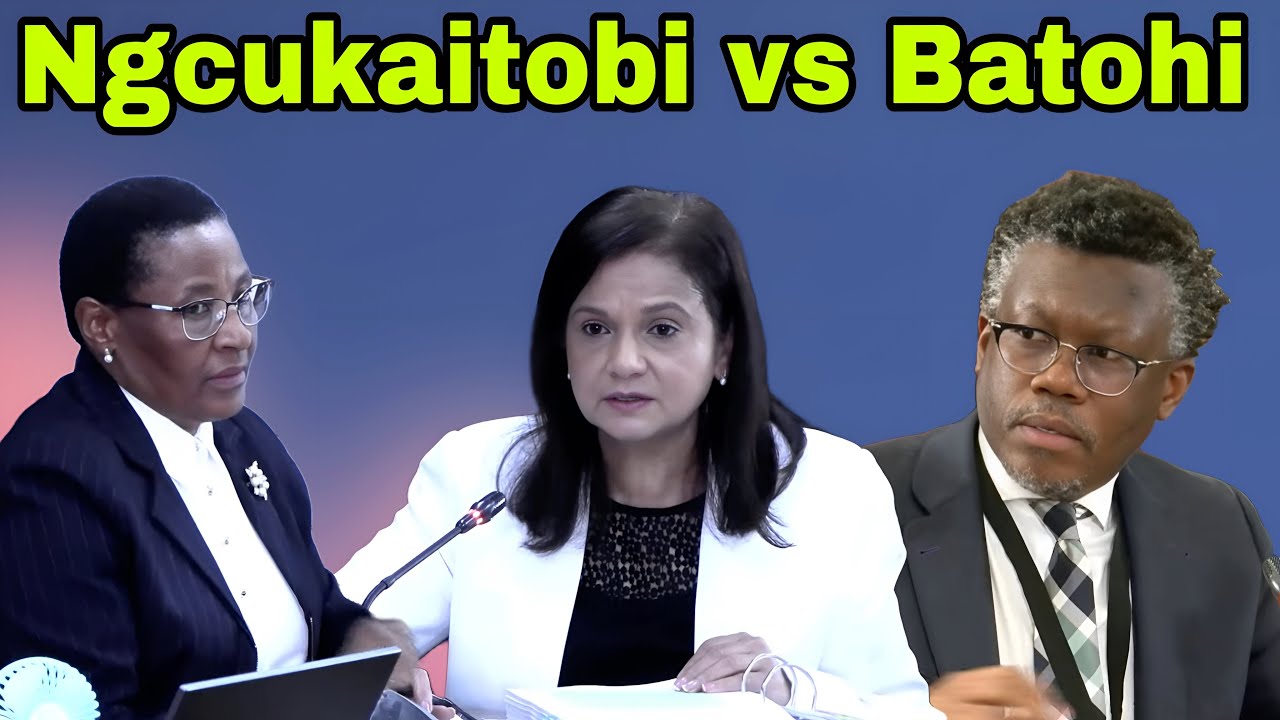 Adv Ngcukaitobi Cross-examines Shamila Batohi: Nkabinde inquiry into Chauke fitness. Day 2