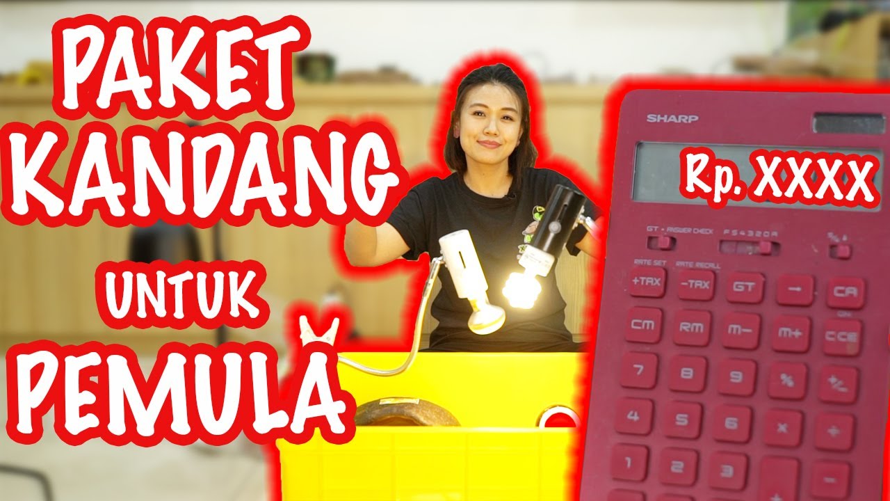 PAKET KANDANG KURA KURA DARAT BUAT PEMULA - SETTING STARTER PACK BERKUALITAS BUKAN ABAL-ABAL!