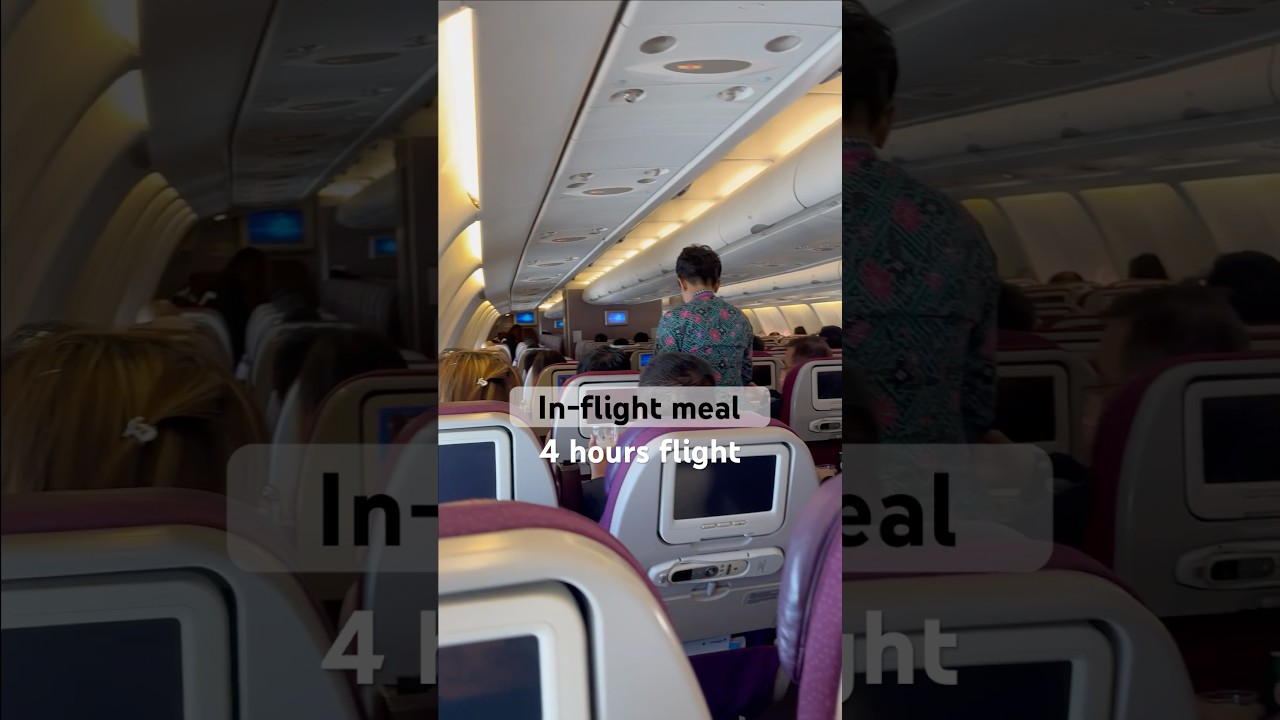 Malaysia Airlines in-flight meal - 4 hours flight - TPE-KUL 