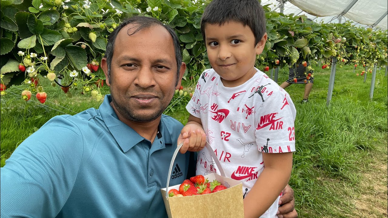 Felderland PYO pick your own Strawberry and Fruits Farm Sandwich - Free Entry