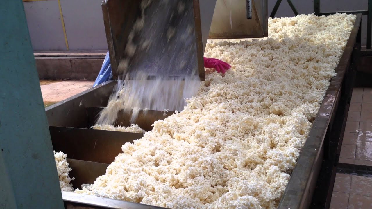 production of natural rubber latex​​​ part3
