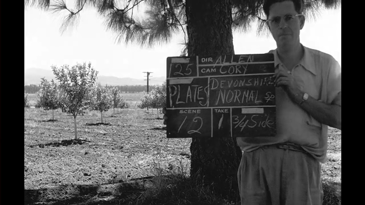 1940s San Fernando Valley Drive: Semirural LA & Devonshire Blvd