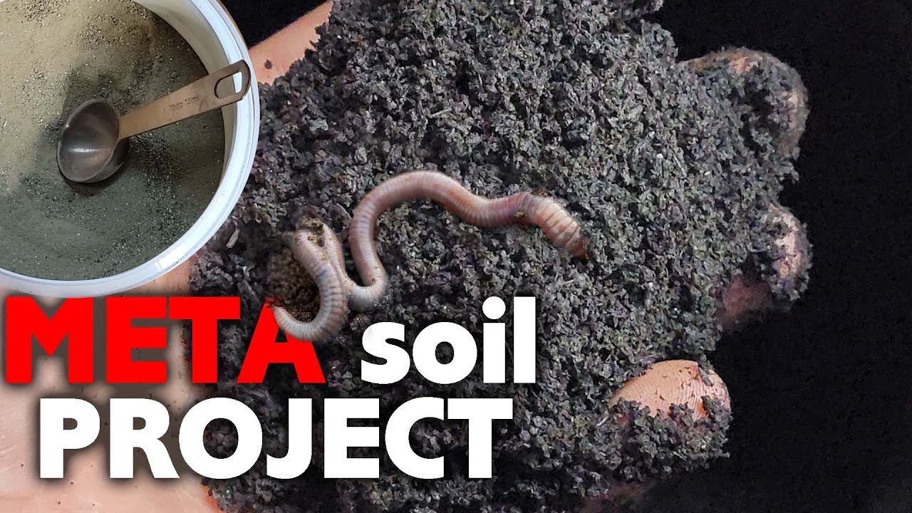 Episode 8 - Day 20 Top Dressing in Bloom, Feed and Soil Reviews