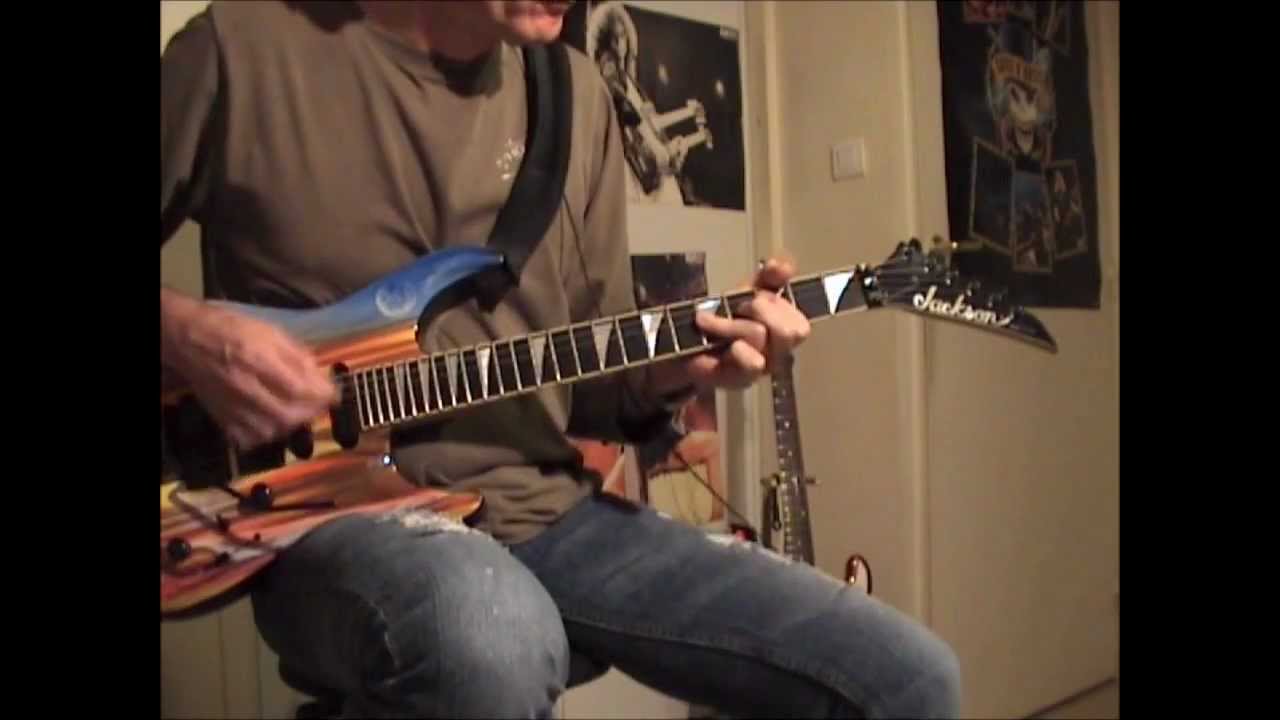 Shaka Ponk Cover - I'm picky ( + Tabs )