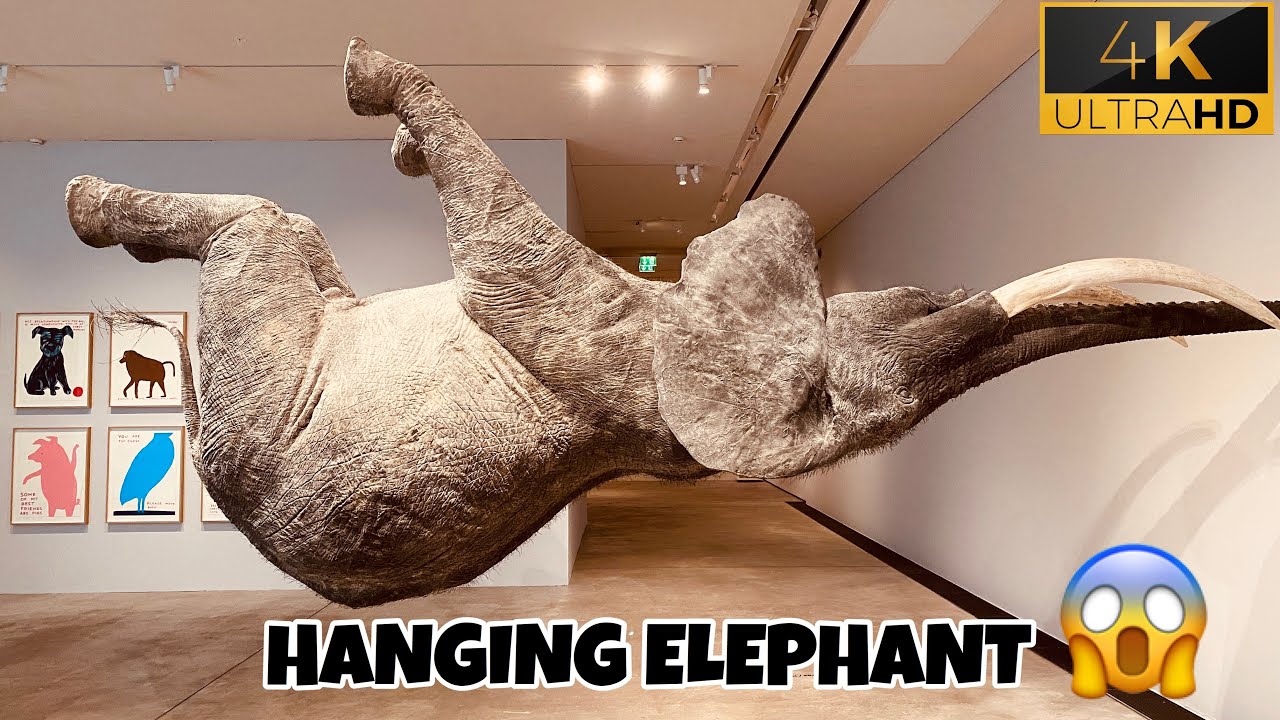 ARKEN MUSEUM OF MODERN ART/ KUNST & DESIGN #EXHIBITION #COPENHAGEN #DENMARK