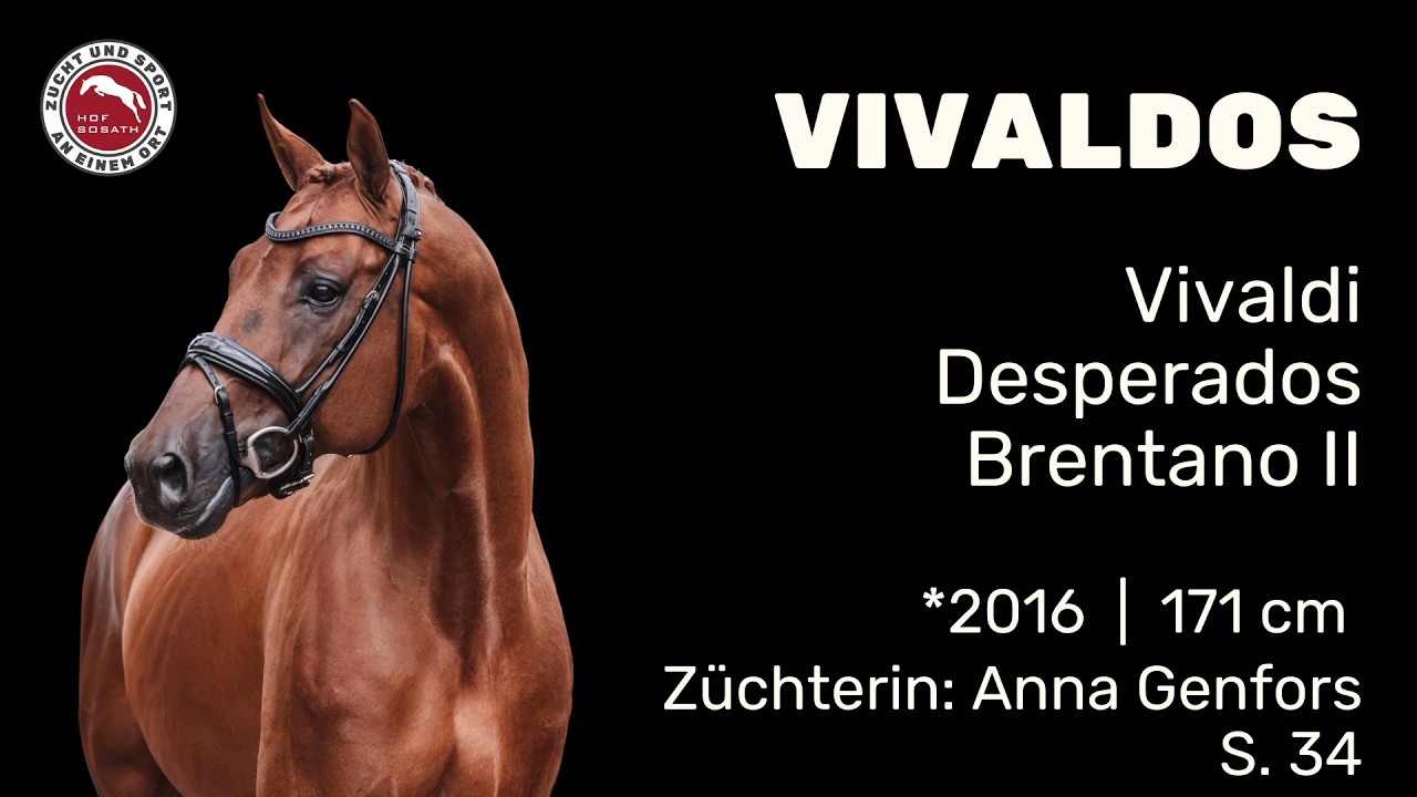Vivaldos - Hengstschau 2026