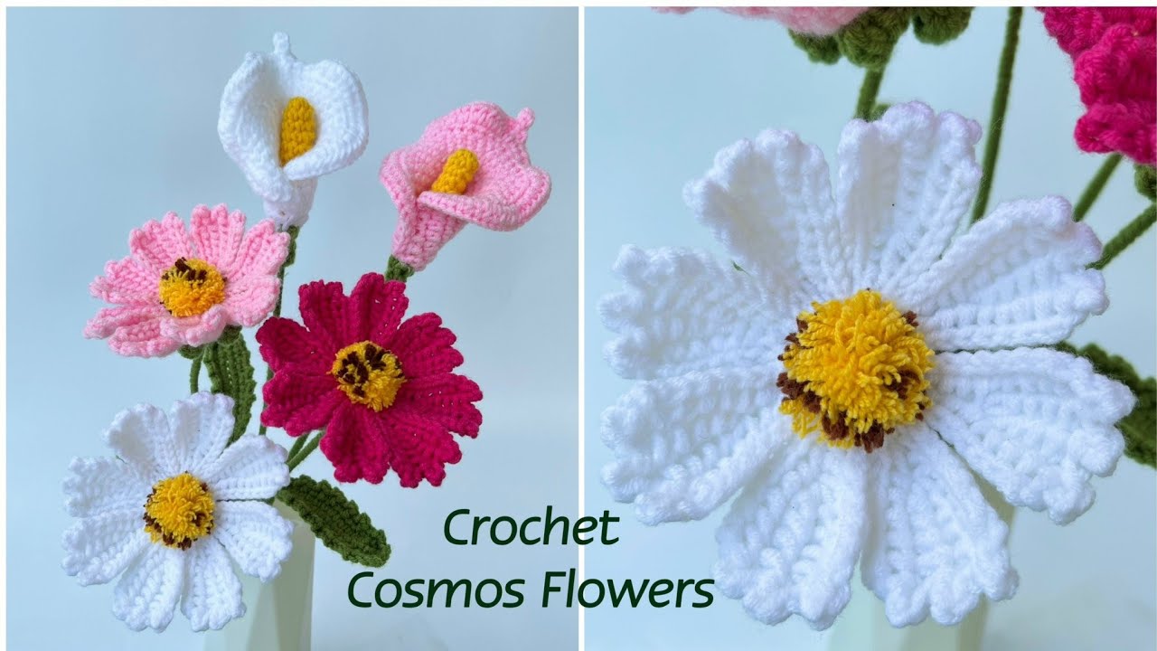 #143 Crochet Cosmos Flowers | Móc Hoa Sao Nhái | Dương Liễu Handmade