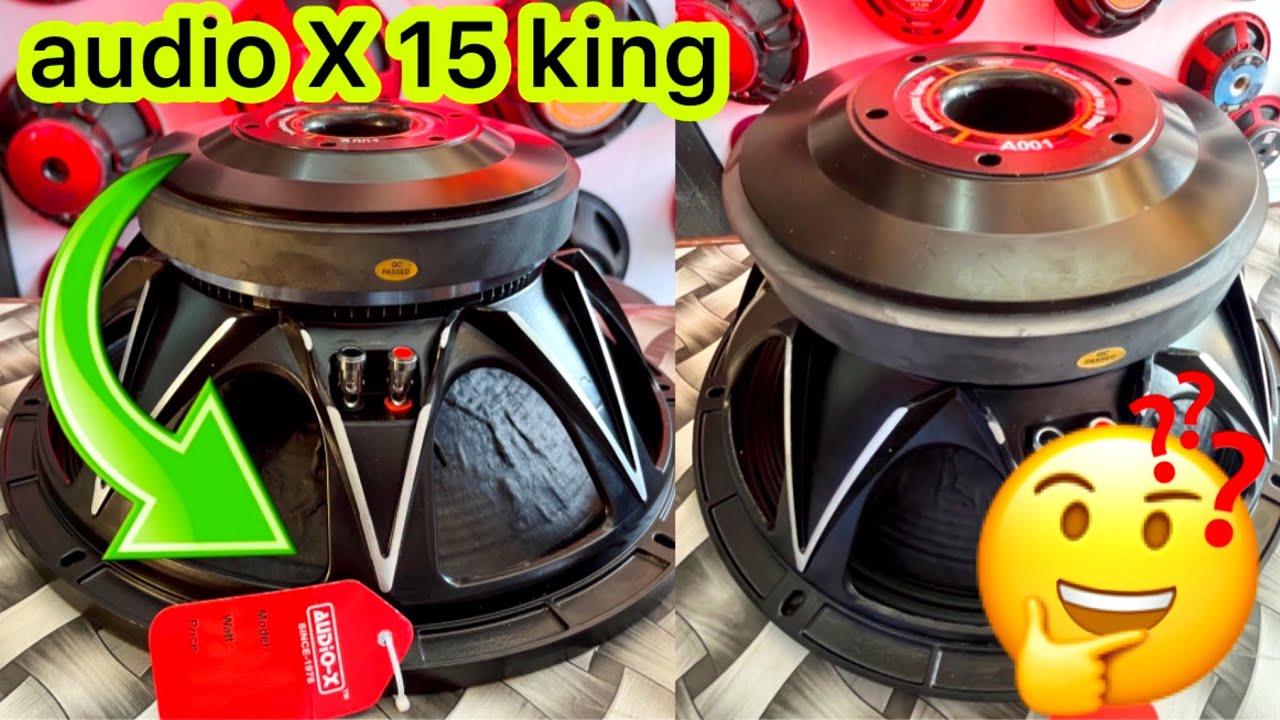 audio x 15 inch 1000 wat in out Koyal hard base