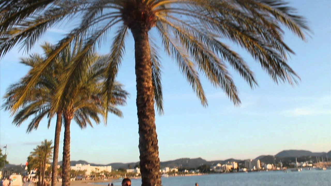 robbinhoodz ibiza sunshine