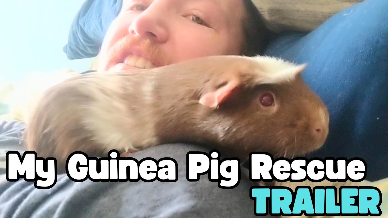 My Guinea Pig Rescue | Series Trailer
