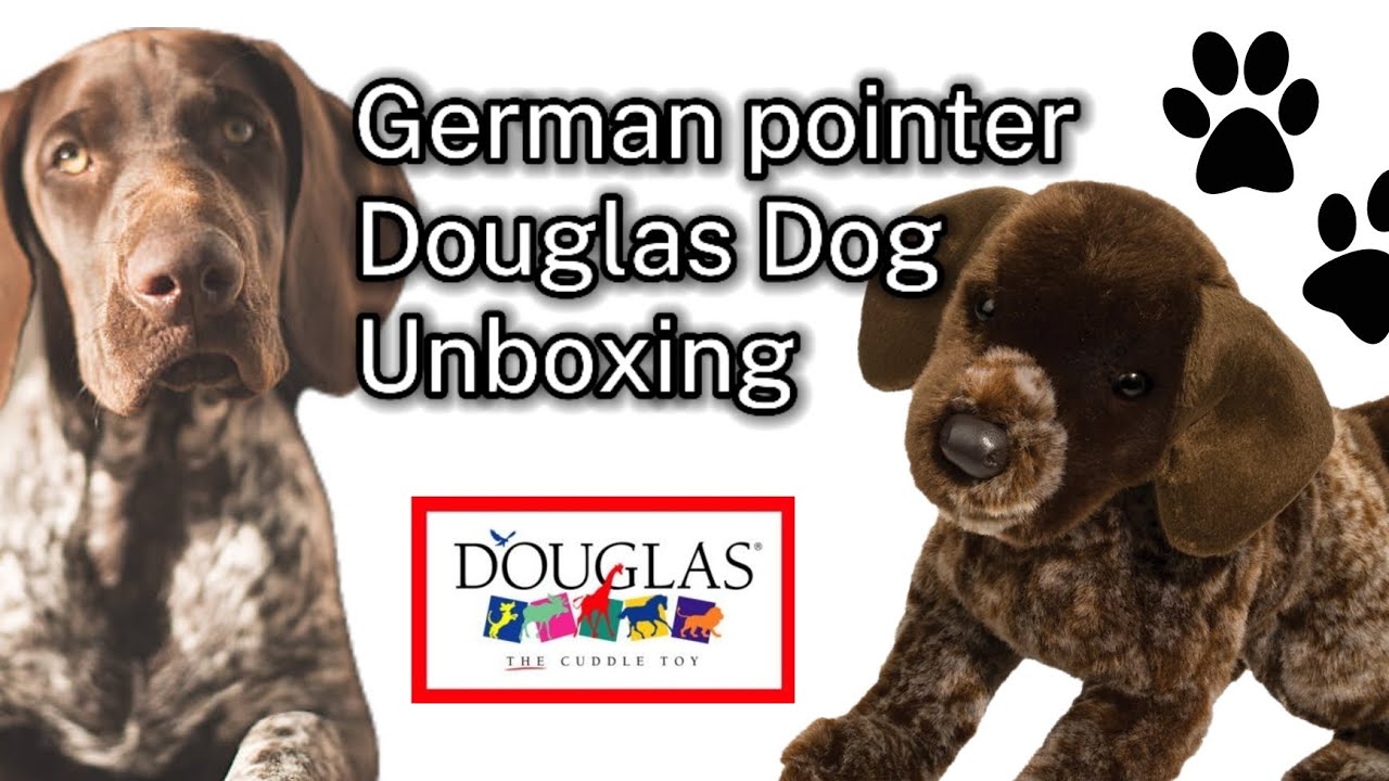 Douglas dog Unboxing! German pointer! ☆ #essa #dogs #plushie #unboxingvideo