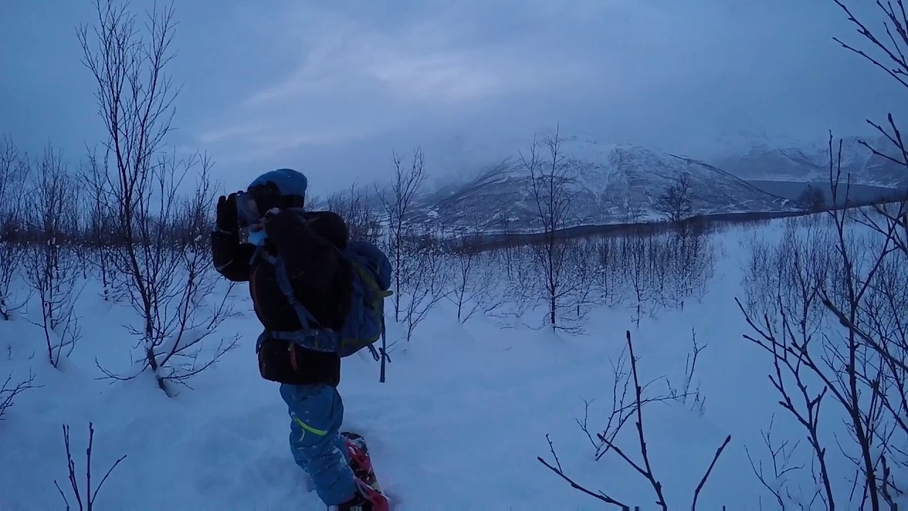 Hompan Lakselvbukt Alpint