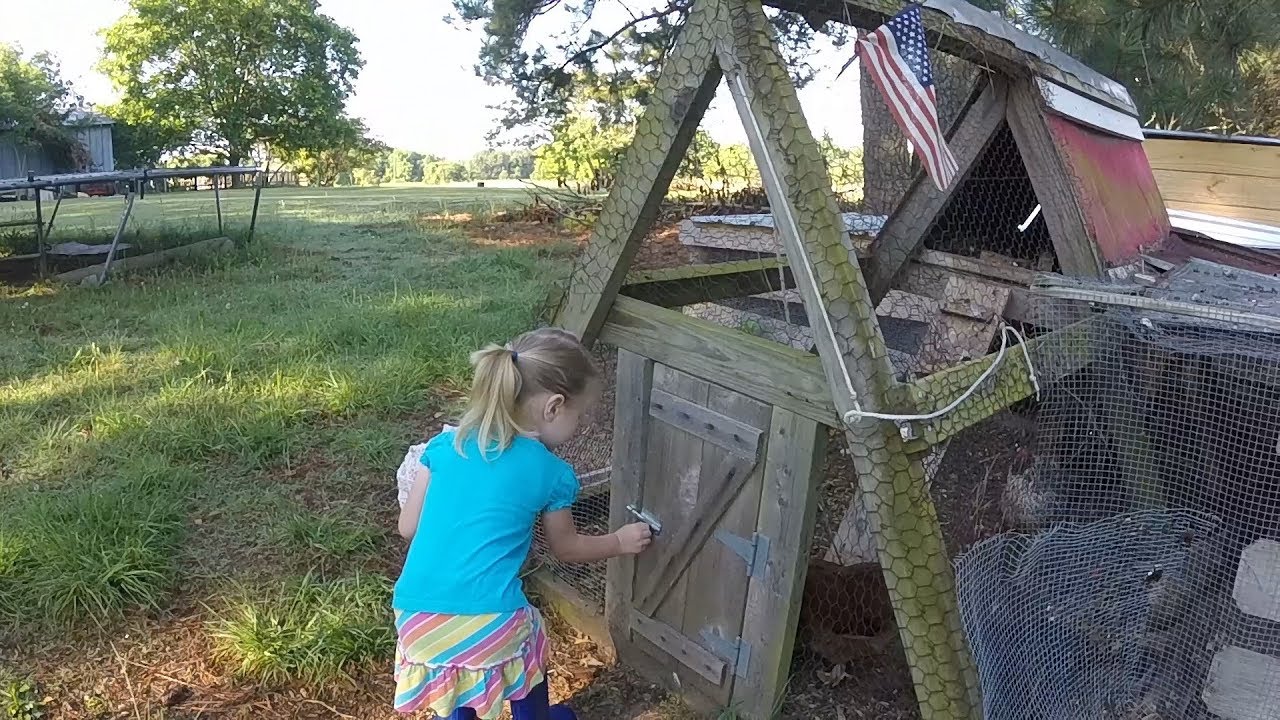 Kids and Responsibilities on the Homestead - The Modern Homesteader